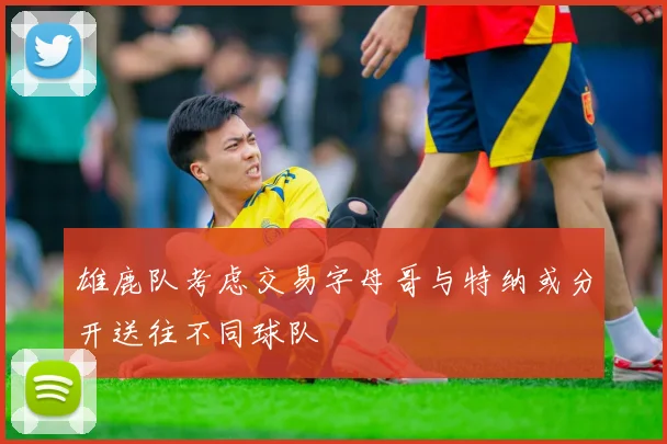 雄鹿队考虑交易字母哥与特纳或分开送往不同球队